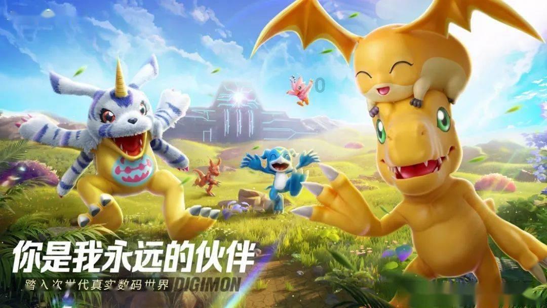 小型的足球赛